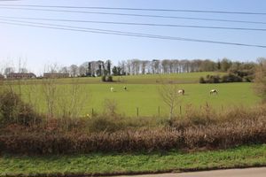 Photo 14- click for photo gallery